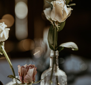 Magic Hill Farm gallery picture