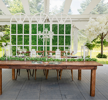 Magic Hill Farm gallery picture