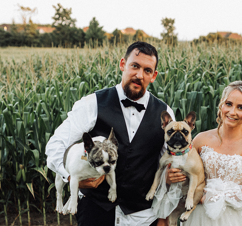 Magic Hill Farm gallery picture