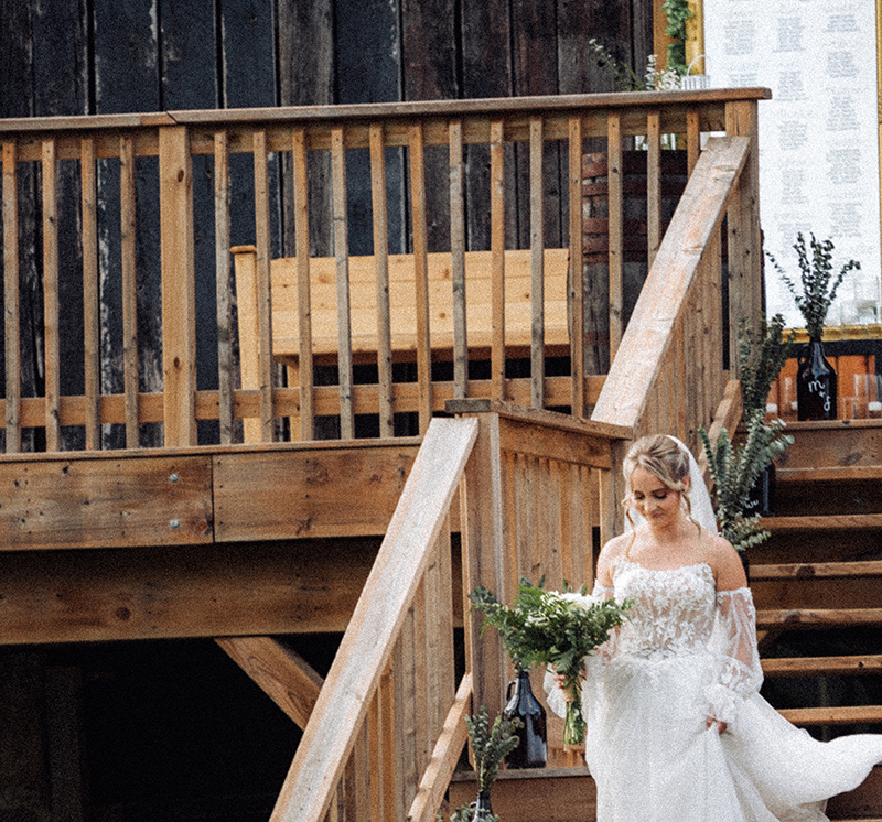 Magic Hill Farm gallery picture