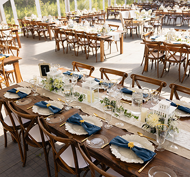 Magic Hill Farm gallery picture