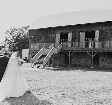 Magic Hill Farm gallery picture