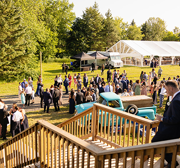 Magic Hill Farm gallery picture